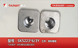 SK5223*6/3Y鉆汽配異形螺母