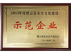 2013年縉云縣安全文化建設(shè)示范企業(yè)