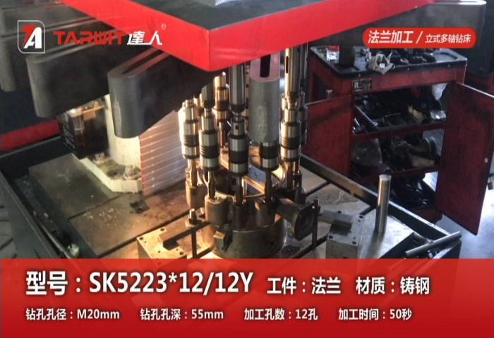 SK5223*12/12Y 攻鑄鋼法蘭