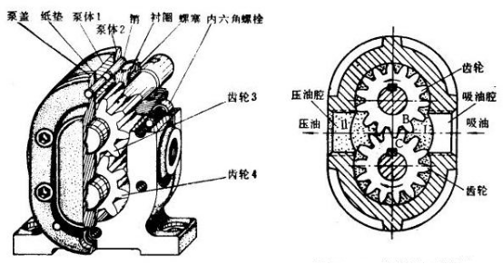 外嚙合齒輪泵基本機構(gòu)圖.png