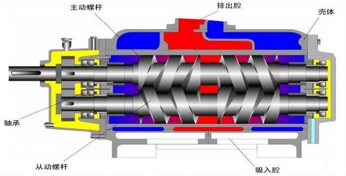 雙螺桿泵基本機構(gòu)圖.png