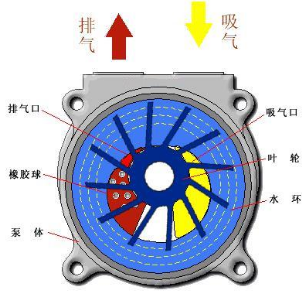 水環(huán)真空泵基本結(jié)構(gòu)圖.png